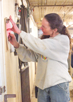 Farmer examining data on a wall chart.