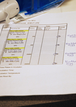 Data for ongoing shelf life study.