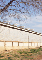 Cupolas provide natural ventillation on a barn.