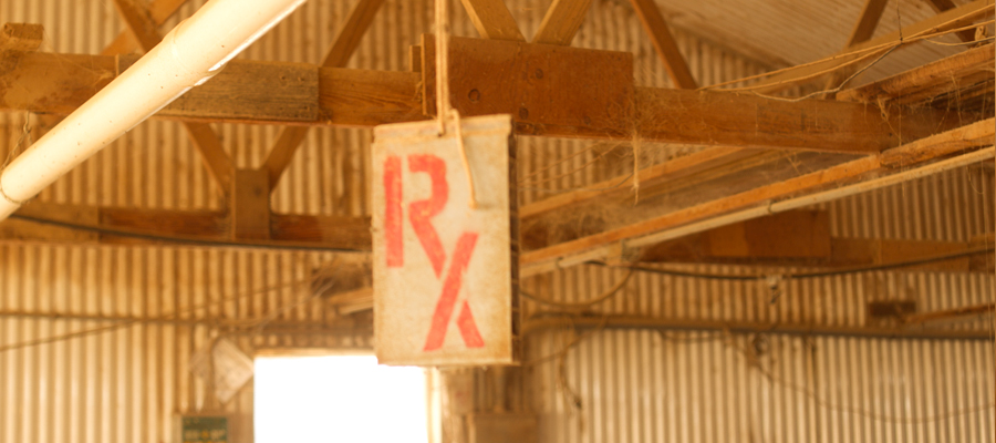 Sign hanging over a pen of medicated growing pigs.