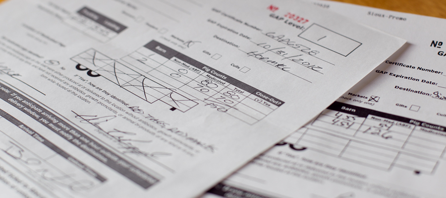 A movement sheet, providing details for a load of market hogs.