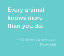 Every animal knows more than you do. -Native American Proverb