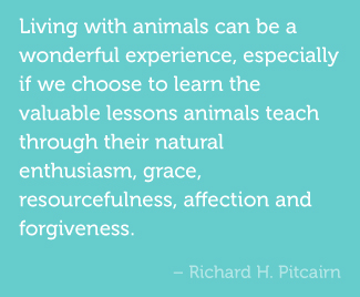 Living with animals can be a wonderful experience, especially if we choose to learn the valuable lessons animals teach through their natural enthusiasm, grace, resourcefulness, affection and forgiveness. -Richard H. Pitcairn